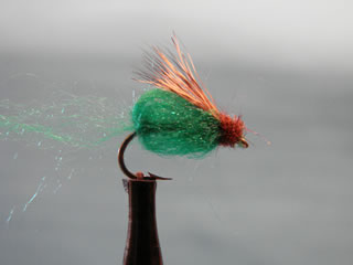 Olive Emergent Sparkle Pupa (12)